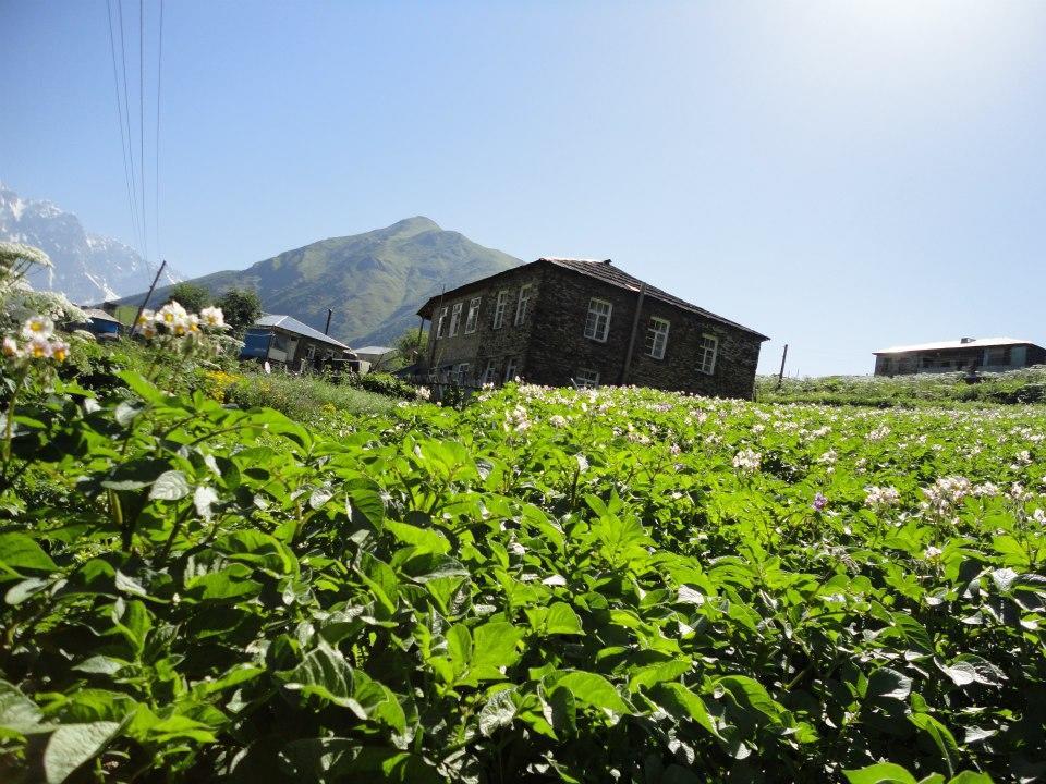 Caucasus Guesthouse Ушгули Екстериор снимка
